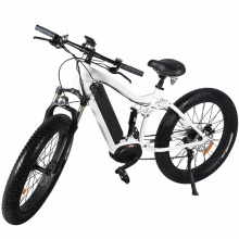 Fat 350W Middle Drive Electric Mountain Bicycle
